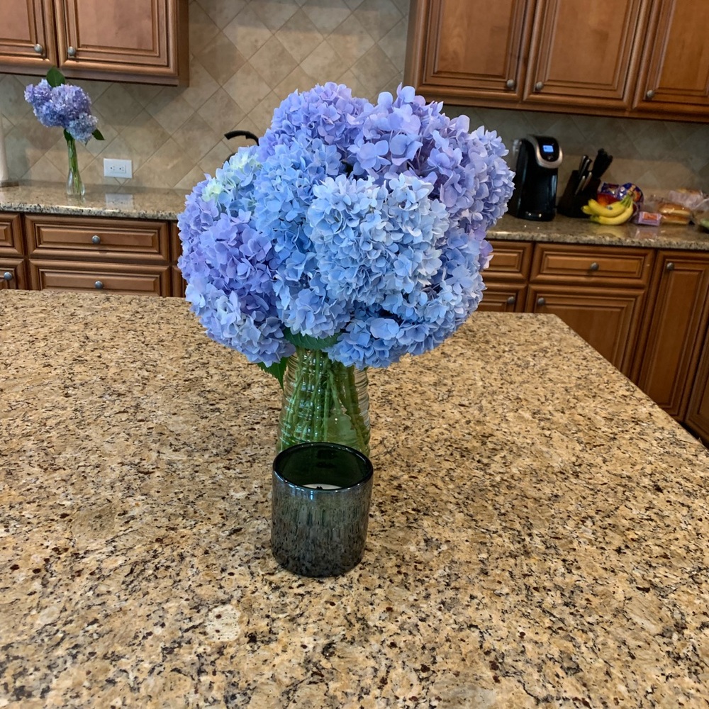 Meet your Posher, Yovanka